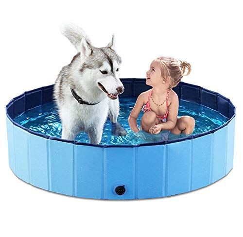 Steel Pack Foldable Dog Pool – Blue, 122 cm