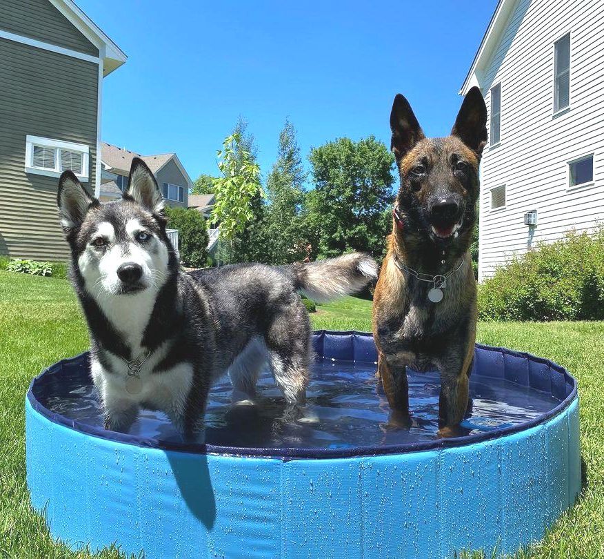 Steel Pack Foldable Dog Pool – Blue, 122 cm