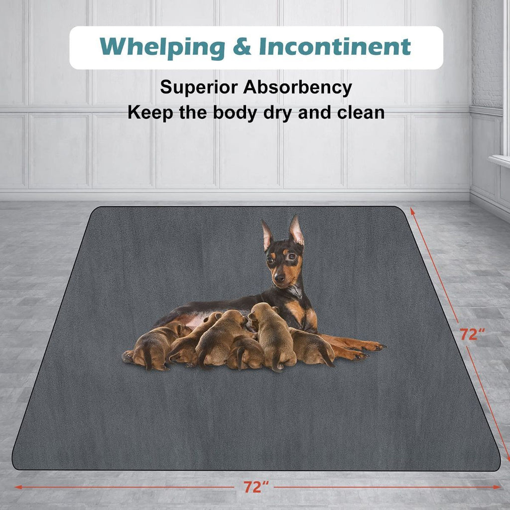 Steel Pack Washable Pee Pad – Dark Grey, XXL