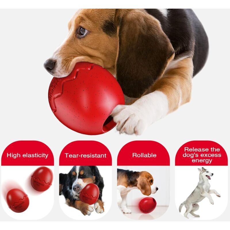 Steel Pack Dino Egg Treat & Chew Toy