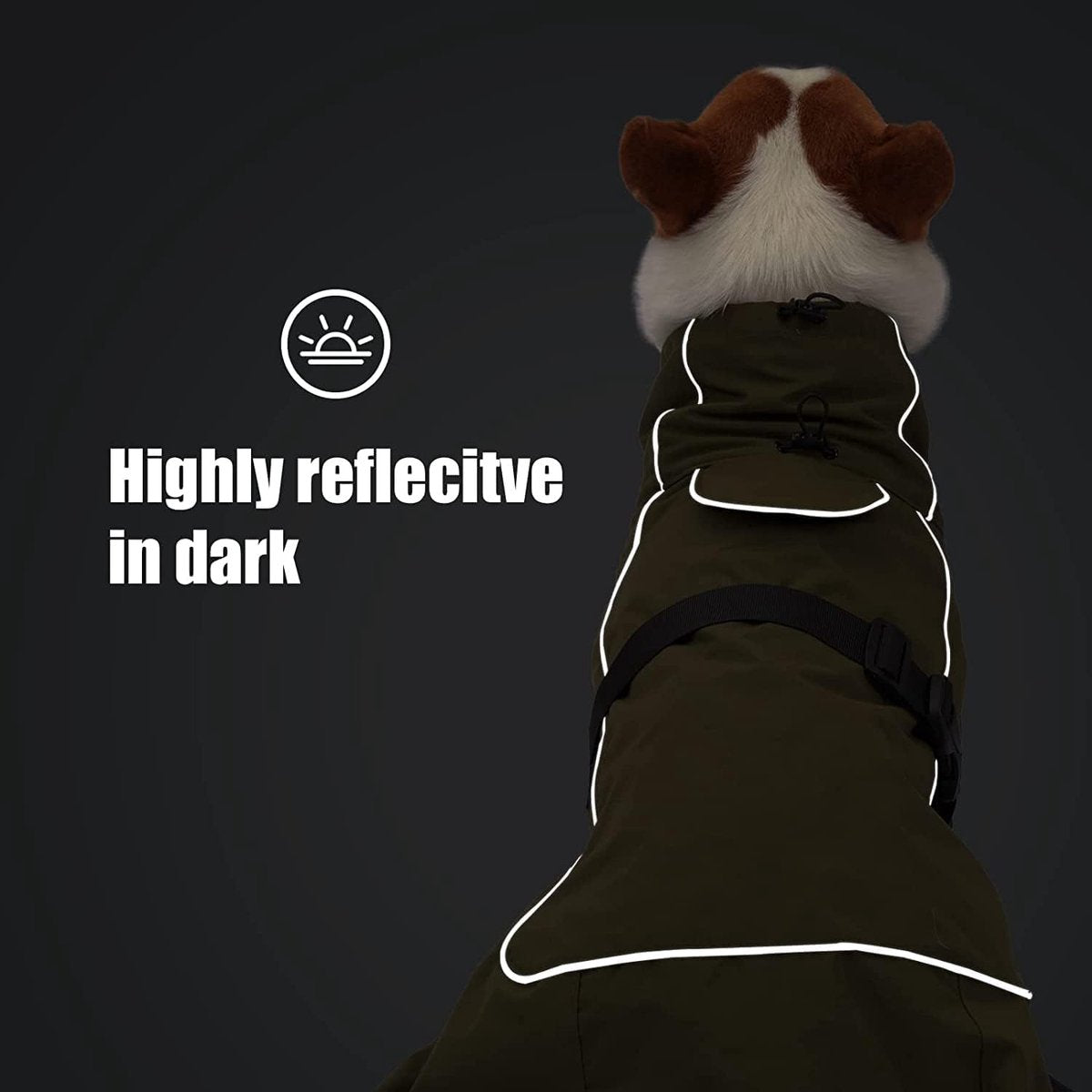 Steel Pack Waterproof Winter Dog Jacket – Black, XL