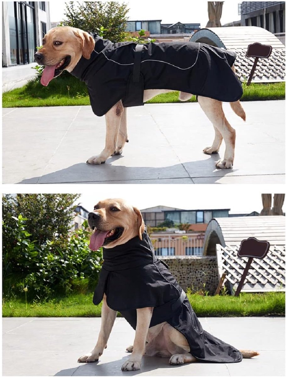 Steel Pack Waterproof Winter Dog Jacket – Black, XXL
