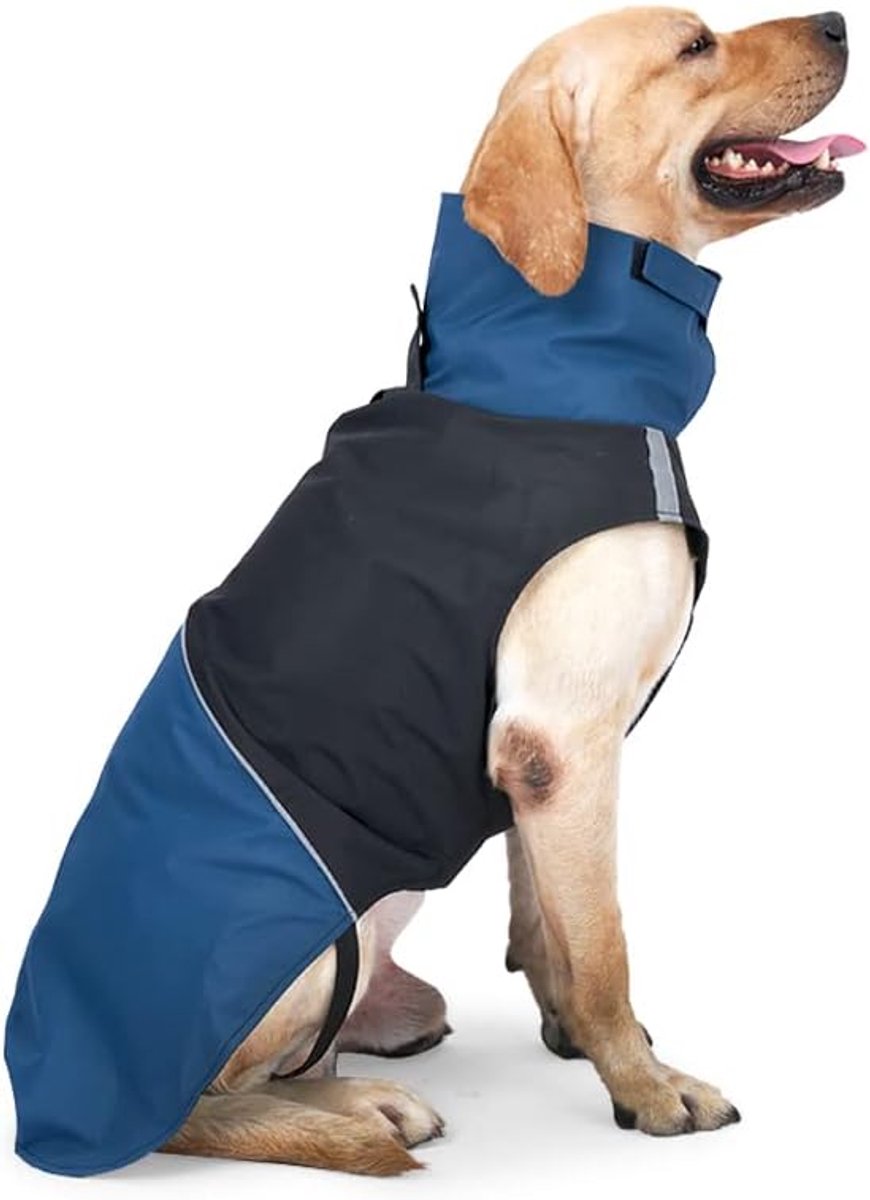 Waterproof Winter Dog Jacket, Blue & Black, S