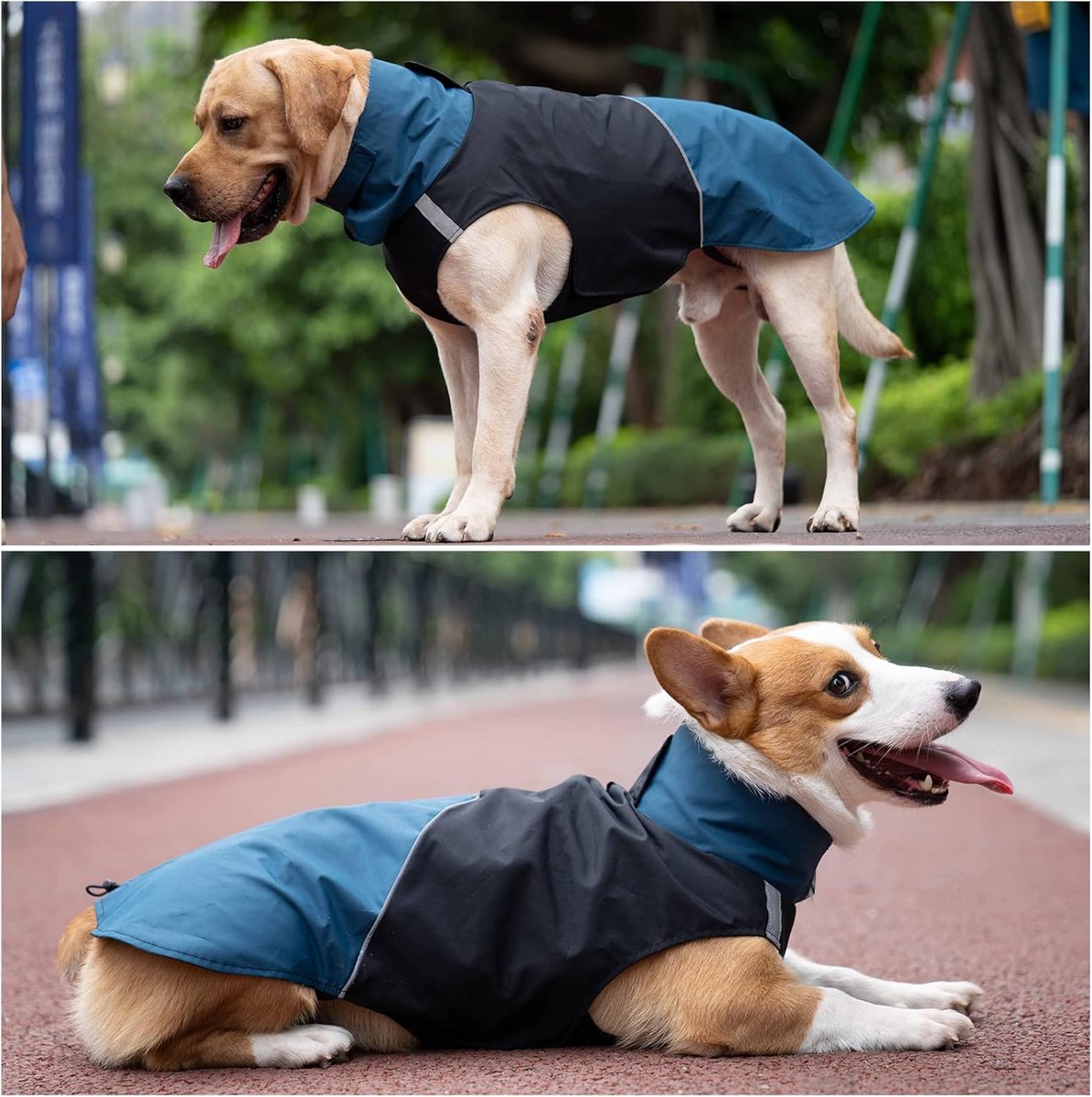 Waterproof Winter Dog Jacket, Blue & Black, L – photo 3