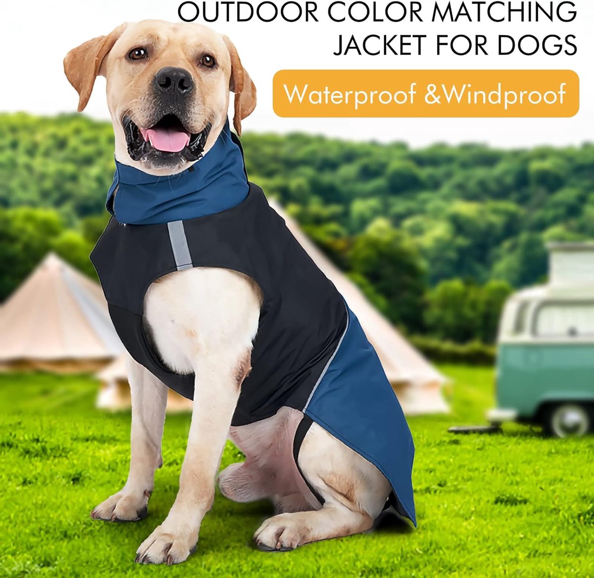 Waterproof Winter Dog Jacket, Blue & Black, XL – photo 4