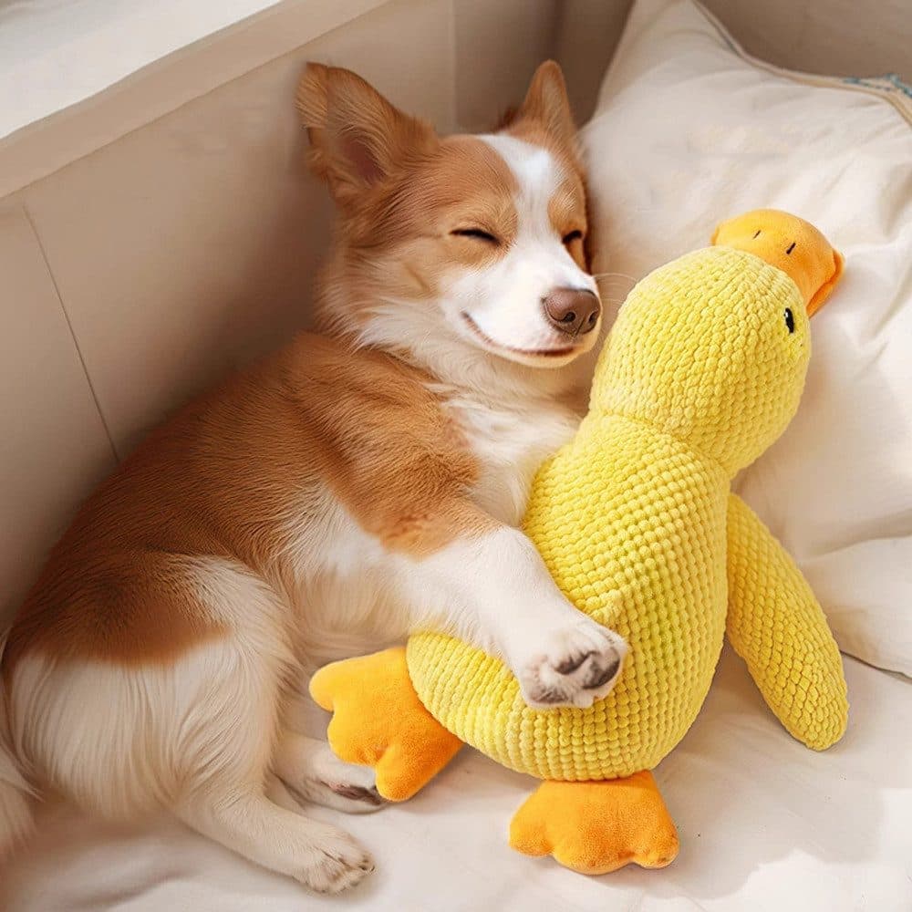 Steel Pack Calming Plush Duck – L
