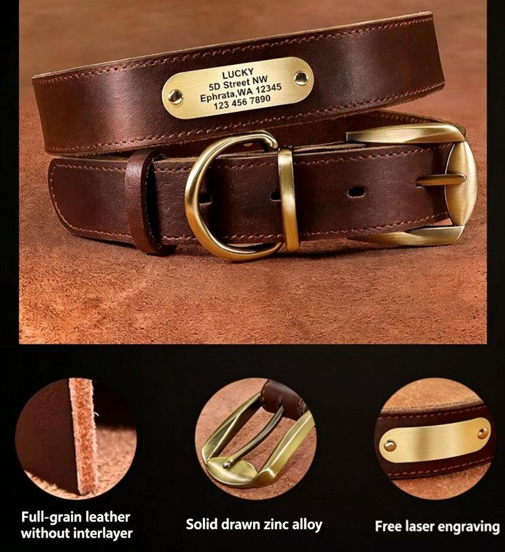 Steel Pack Genuine Leather Collar – Red, XXL