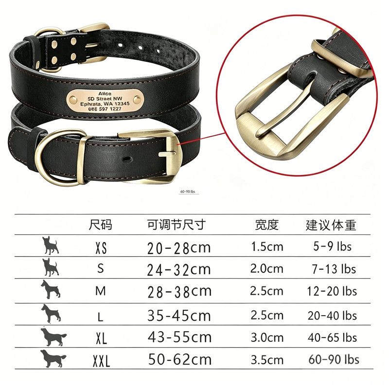 Steel Pack Genuine Leather Collar – Black, M