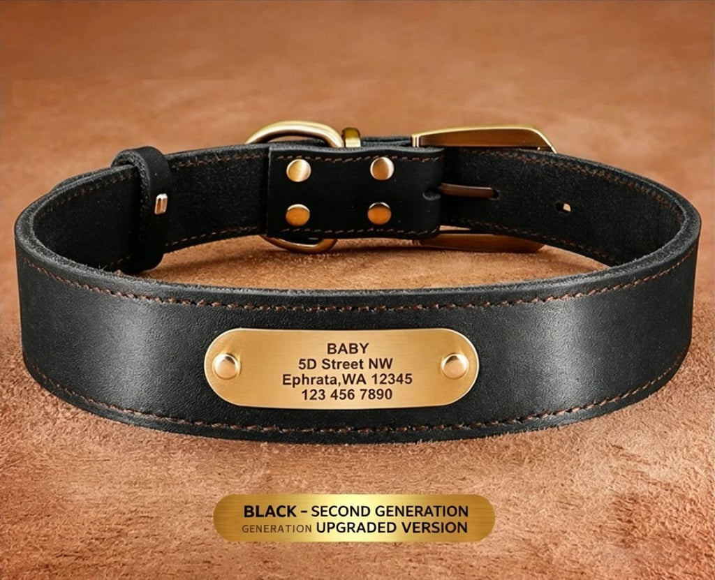 Steel Pack Genuine Leather Collar – Black, XXL