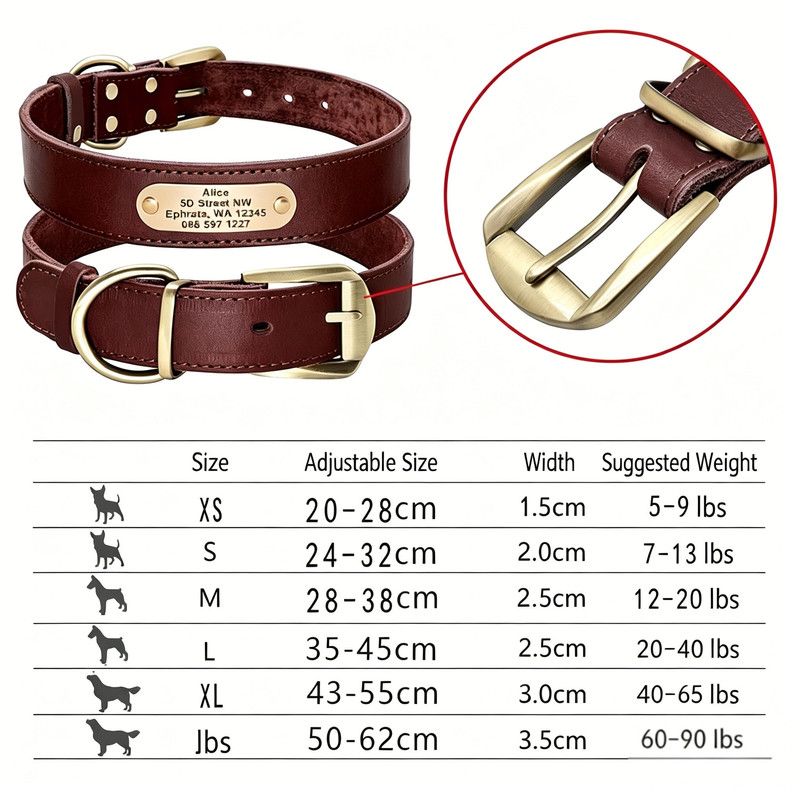 Steel Pack Genuine Leather Collar – Dark Brown, L