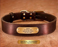 Steel Pack Genuine Leather Collar – Dark Brown, XXL