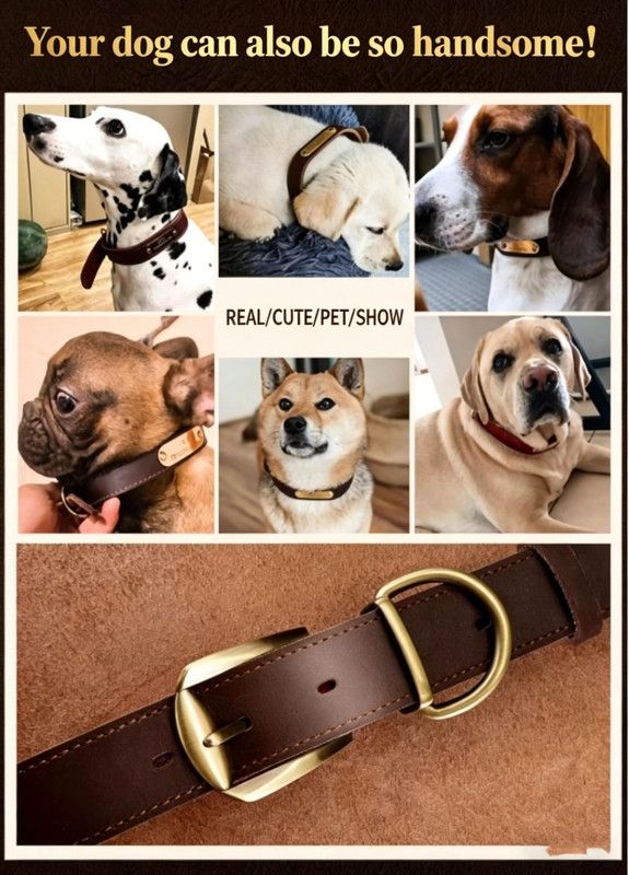 Steel Pack Genuine Leather Collar – Red, XS