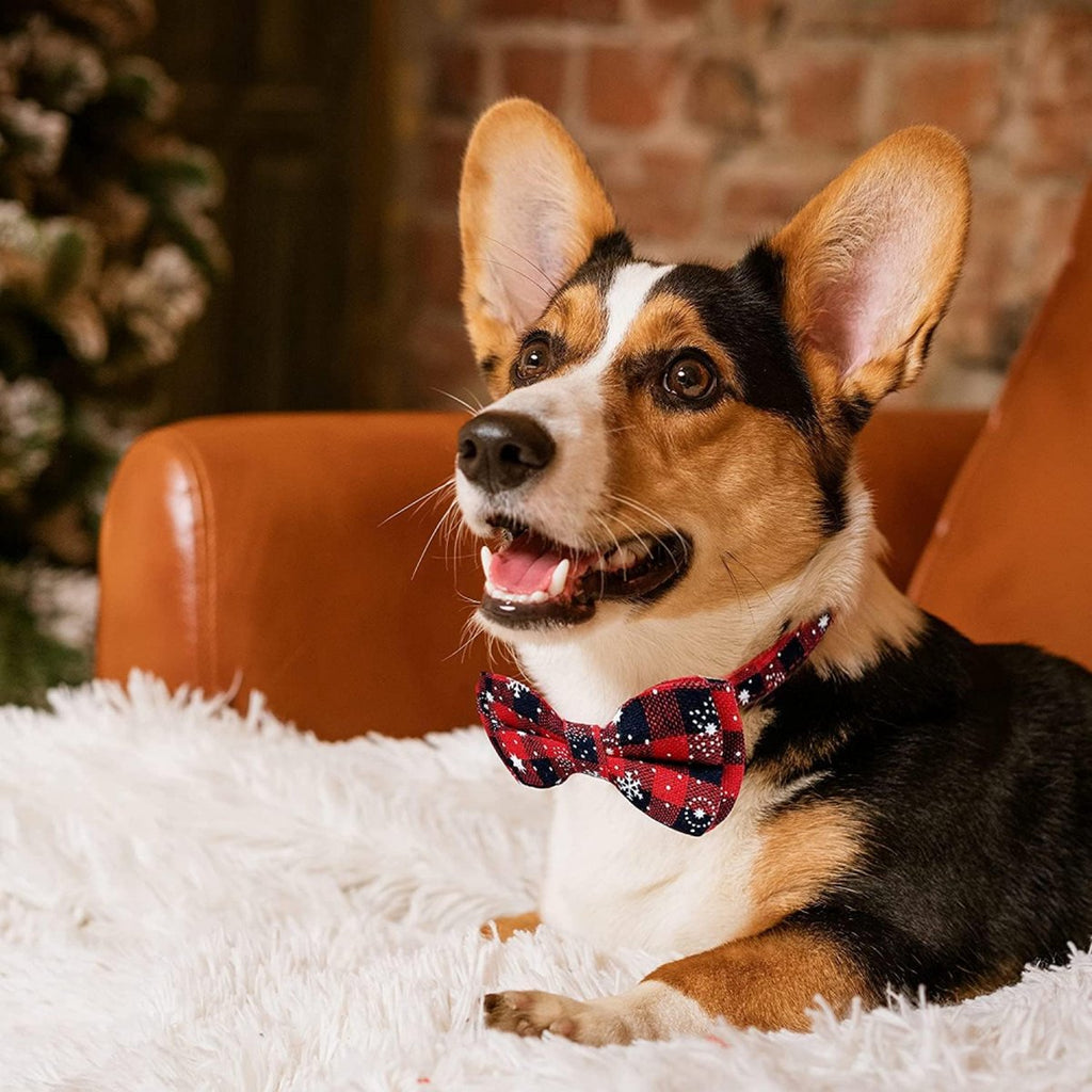 Christmas bow tie, red check, size S – photo 5