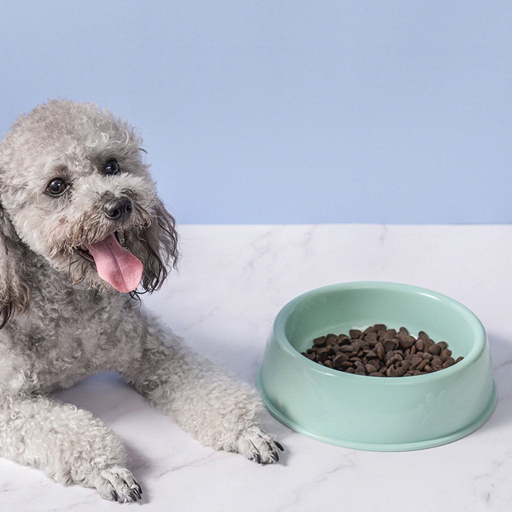 Plastic Dog Bowl, Non Slip Candy Color Plastic Pet Food Bowl, Shallow Cat Food Dish, Reusable Pet Food And Water, Green, 21 x 5.8 x 18 cm