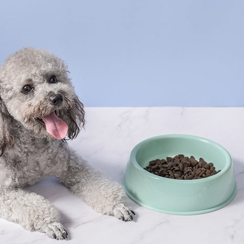 Plastic Dog Bowl, Non Slip Candy Color Plastic Pet Food Bowl, Shallow Cat Food Dish, Reusable Pet Food And Water, Green, 21 x 5.8 x 18 cm