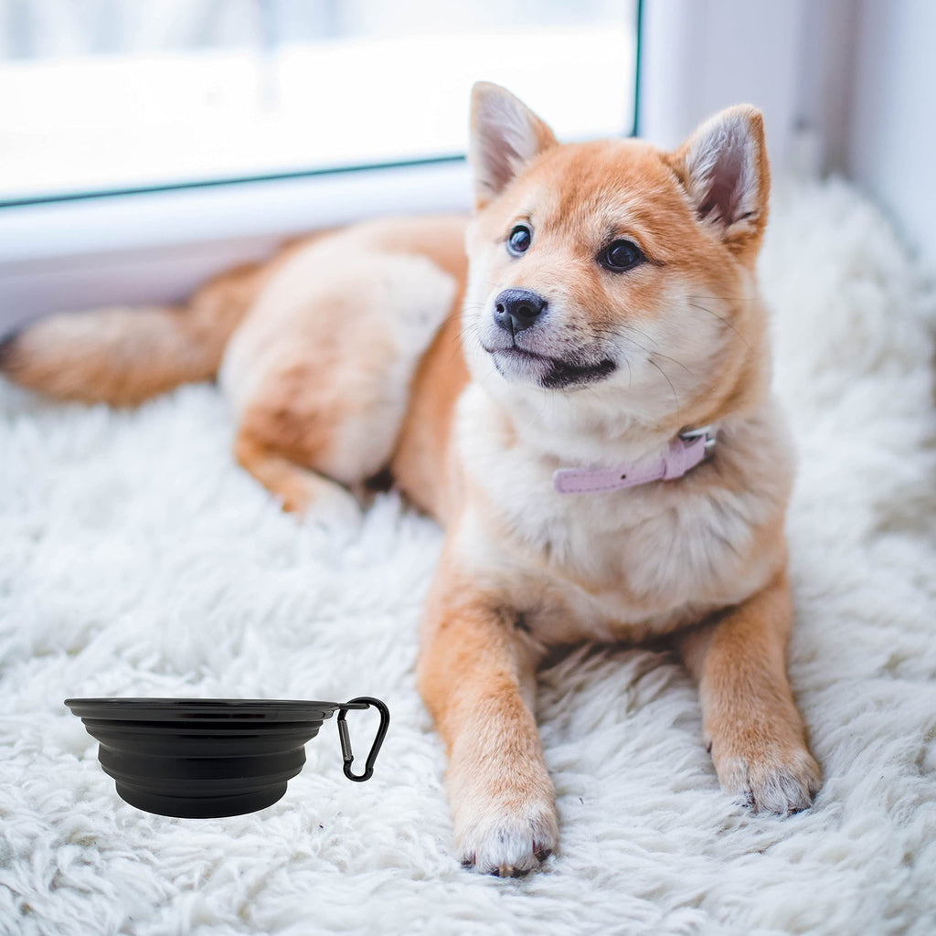 Portable Collapsible Dog Bowl for Water or Food Great Pet Travel Bowl in Multiple Sizes (Standard - 12oz, Black)