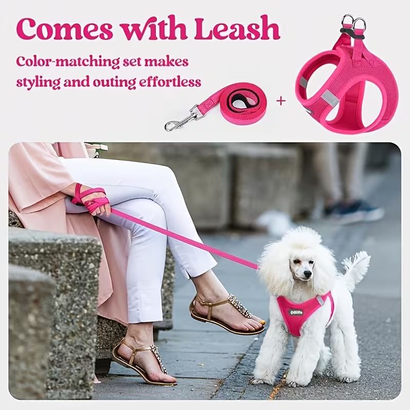 Steel Pack Reflective Harness & Leash Set – Black, S