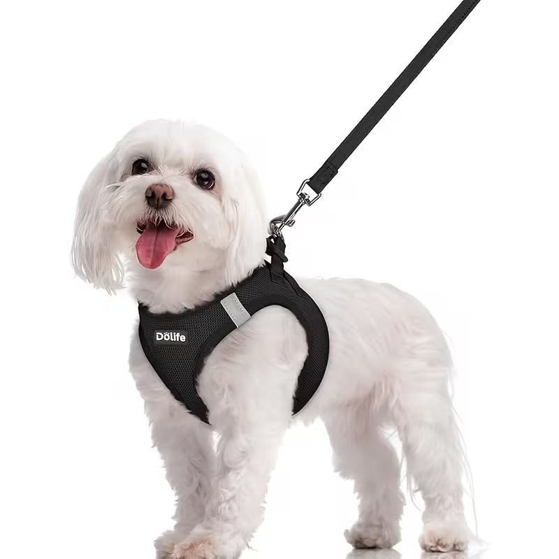 Steel Pack Reflective Harness & Leash Set – Black, L