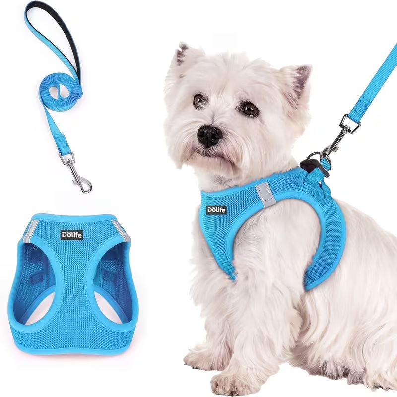 Steel Pack Reflective Harness & Leash Set – Blue, XS