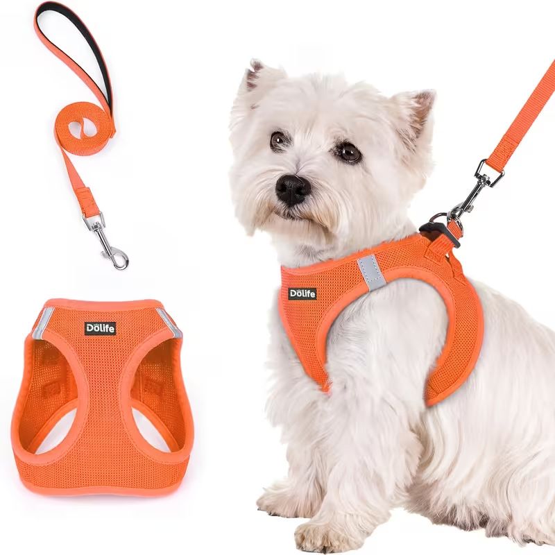 Steel Pack Reflective Harness & Leash Set – Orange, XL