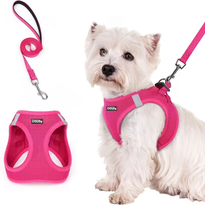 Steel Pack Reflective Harness & Leash Set – Rose Red, L