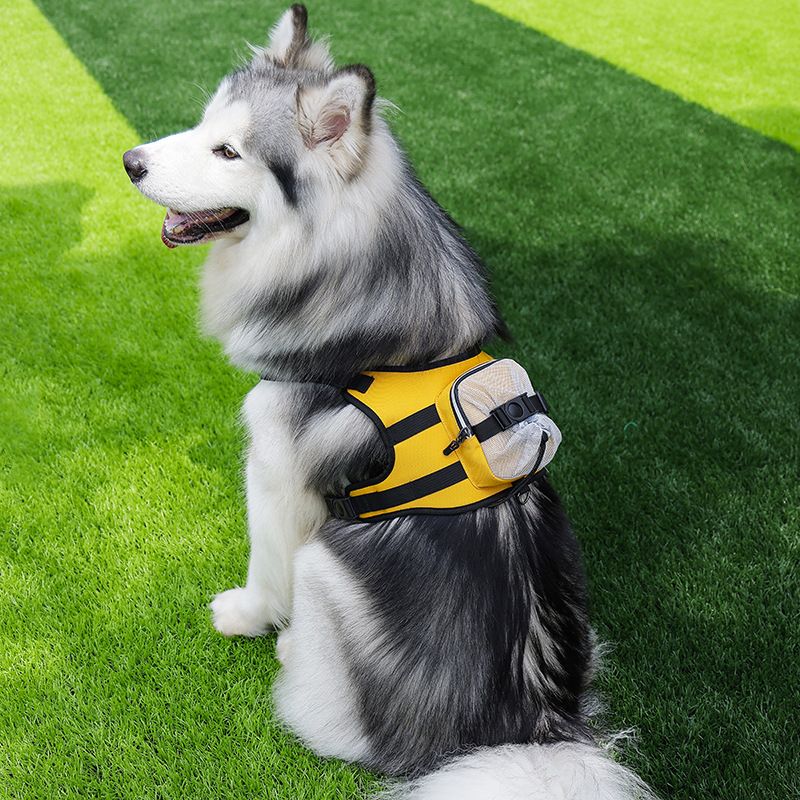 Steel Pack No-Pull Backpack Harness – Black, M (14–22 kg)