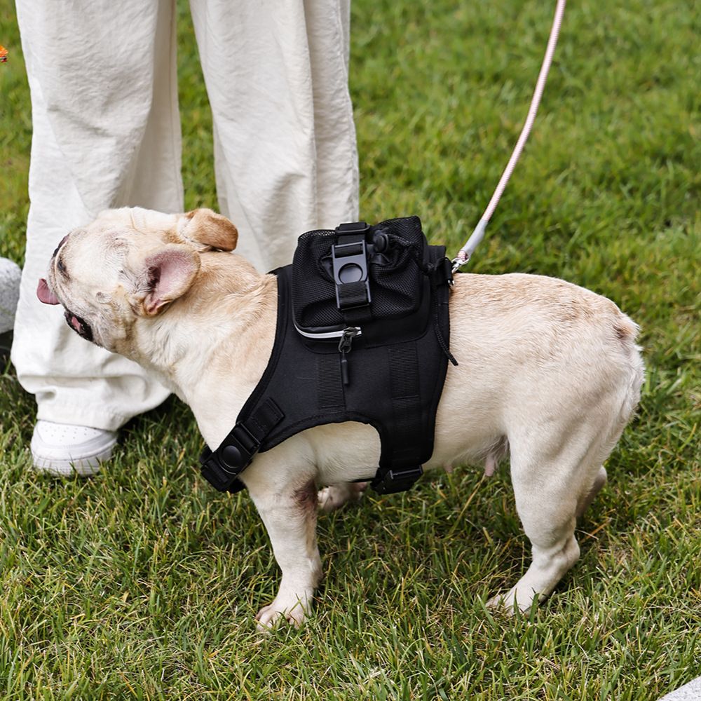 Steel Pack No-Pull Backpack Harness – Black, L (22 kg+)