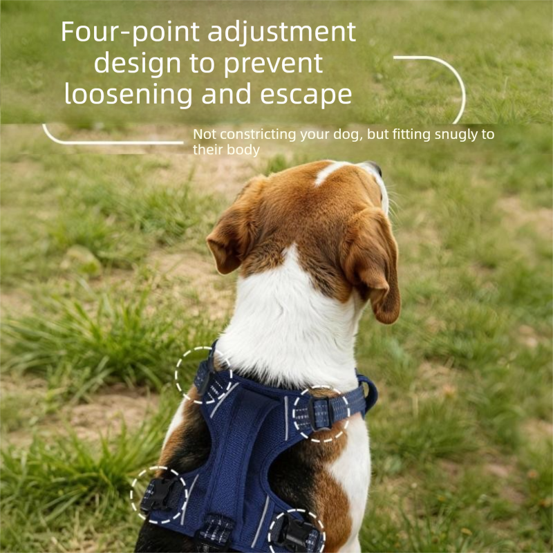 Steel Pack No-Pull Harness & Lead Set – Black, S (chest 38–50 cm)