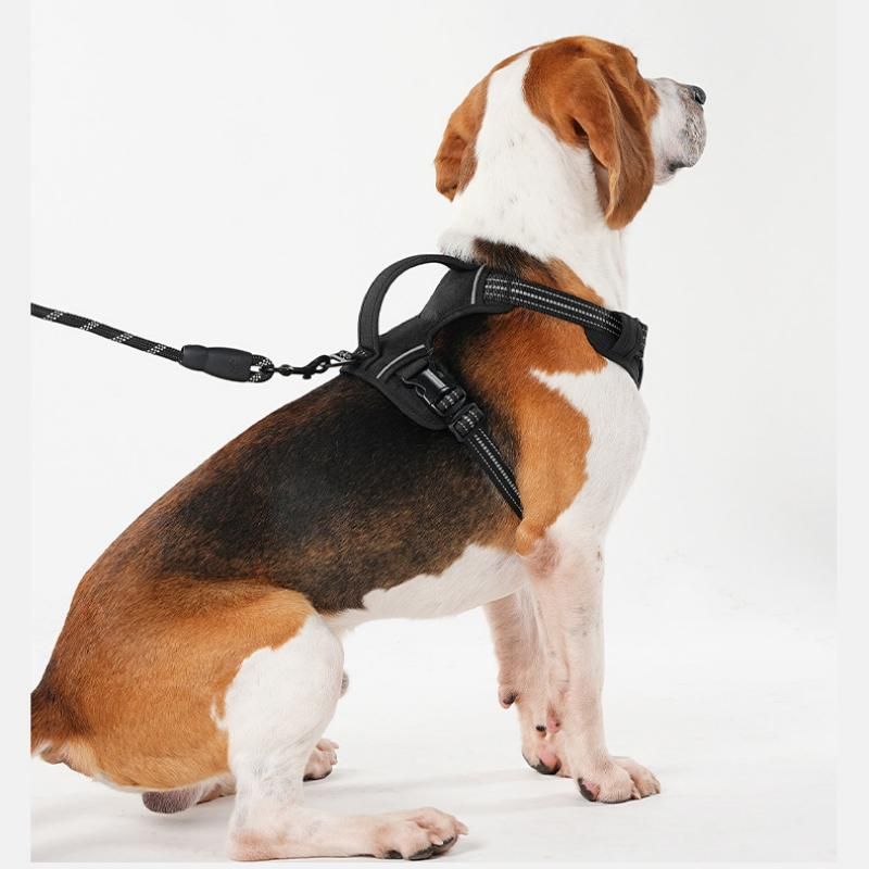 Steel Pack No-Pull Harness & Lead Set – Black, S (chest 38–50 cm)