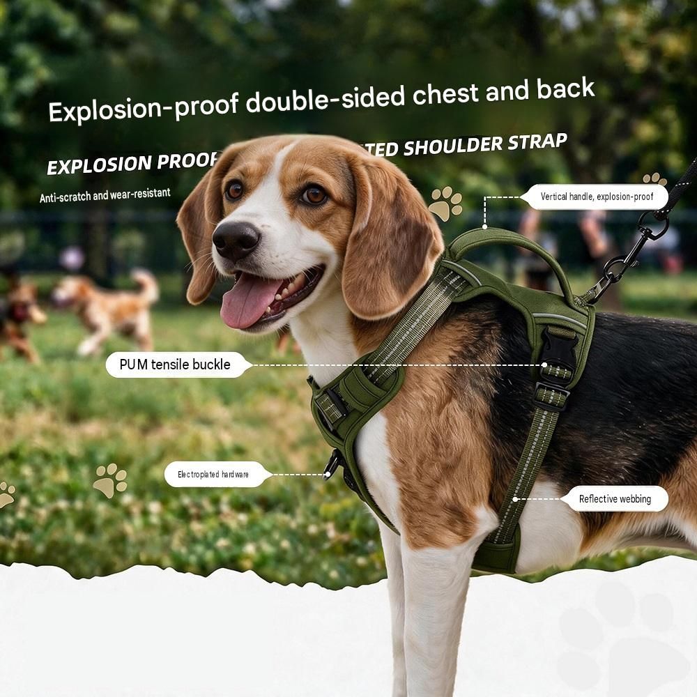 Steel Pack No-Pull Harness & Lead Set – Black, M (chest 46–61 cm)