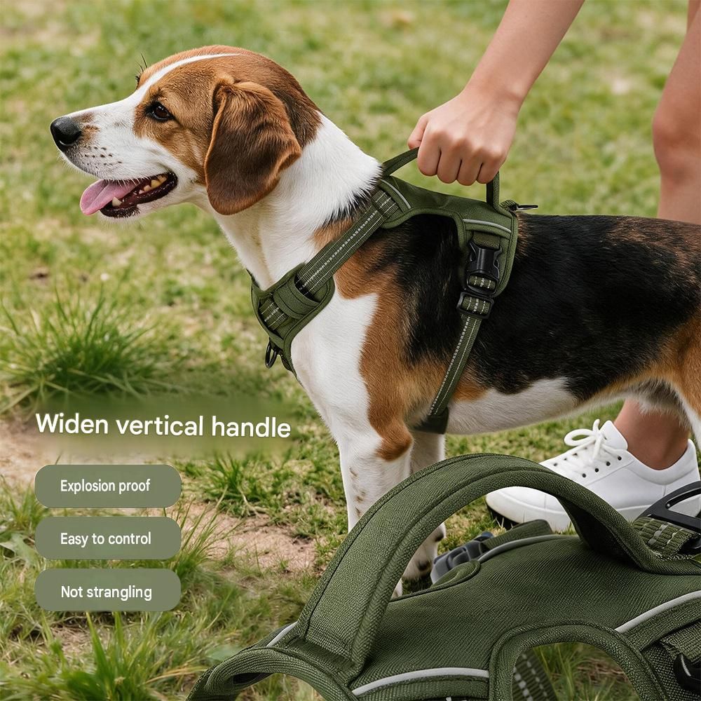 Steel Pack No-Pull Harness & Lead Set – Black, XL (chest 71–100 cm)